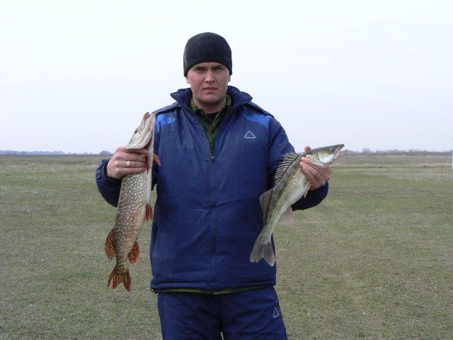 Рыбная ловля на Ахтубе весной (нижняя Волга)